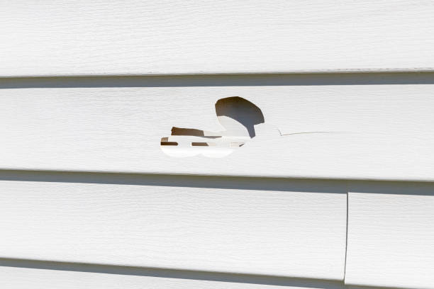 Best Siding Painting and Refinishing  in Brookston, IN